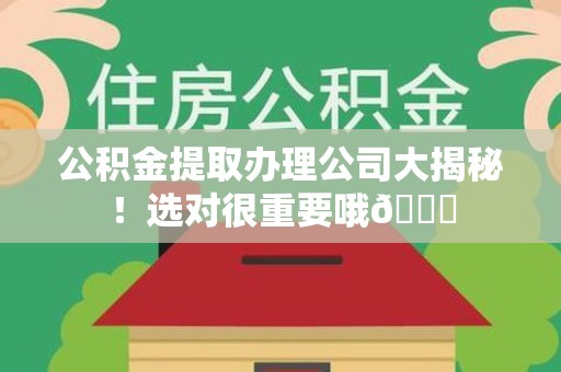 蒙城公积金提取办理公司大揭秘！选对很重要哦😎